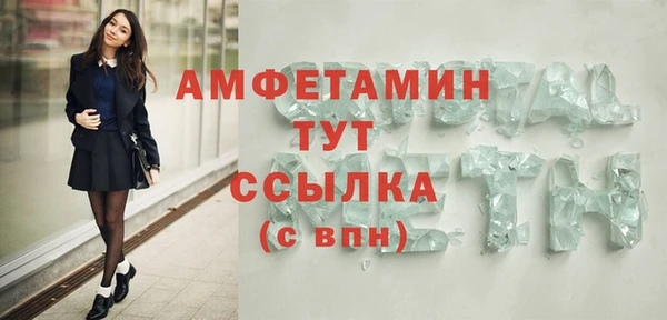 сатива Мегион