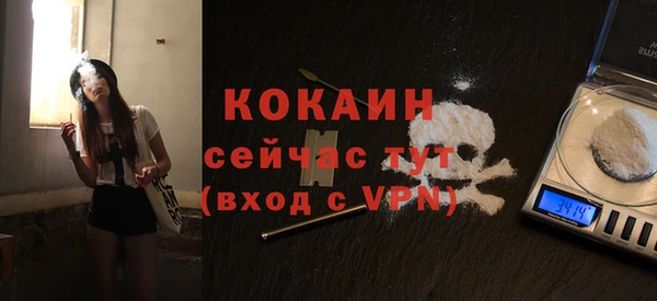 сатива Мегион