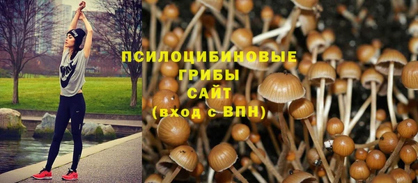 ALPHA PVP Медвежьегорск