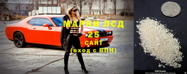 стафф Медногорск