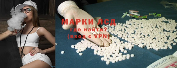 стафф Медногорск