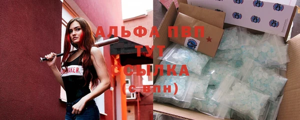 стафф Медногорск