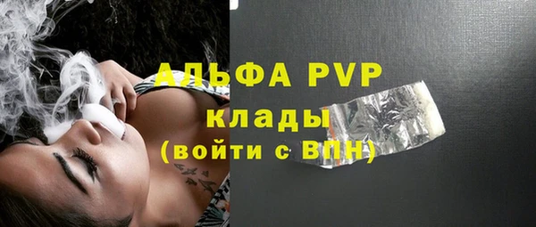 сатива Мегион