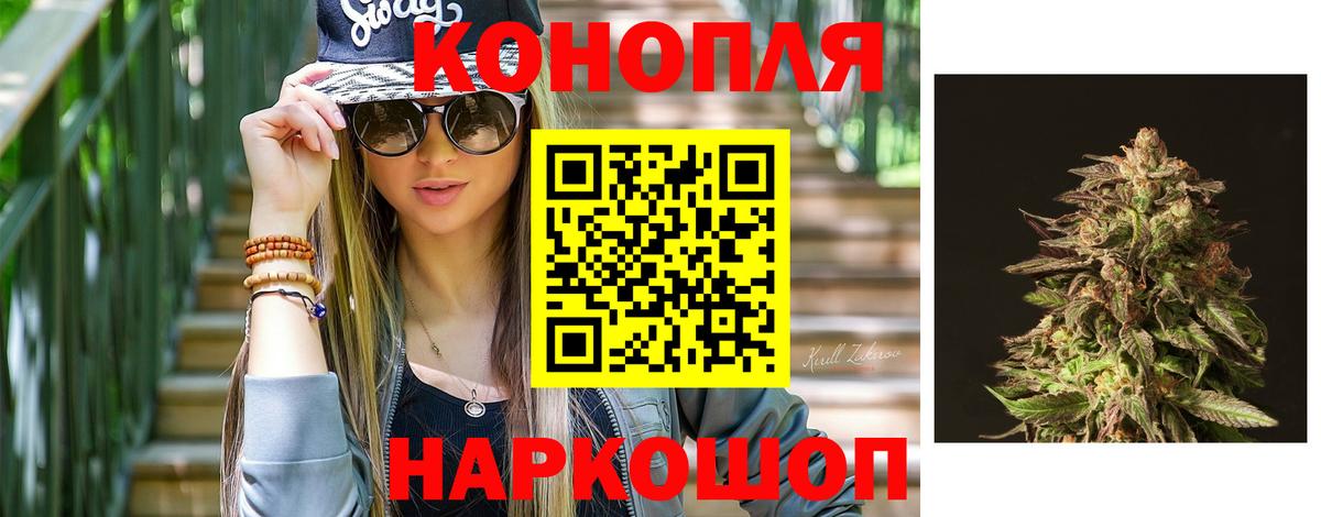 Бошки Шишки гибрид  Конопля семена  Старый Оскол  Конопля AK-47 